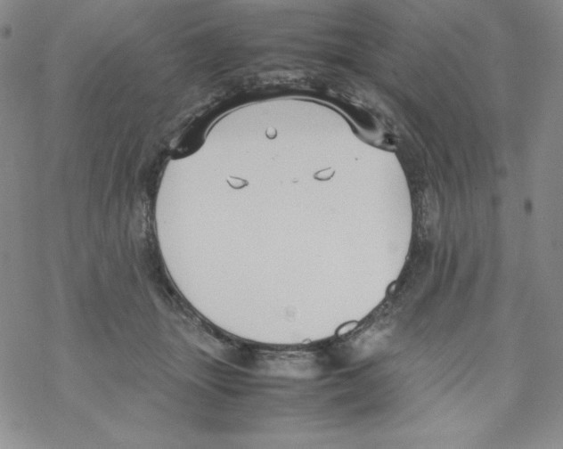 X0000069390463200606091721