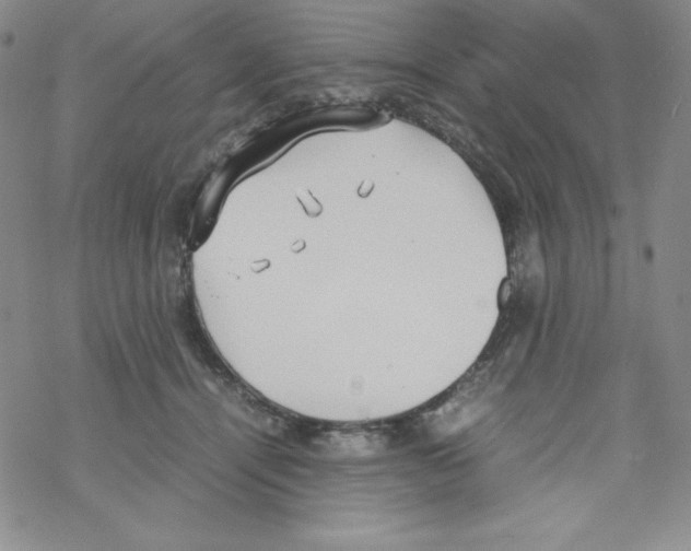 X0000069390464200606091721