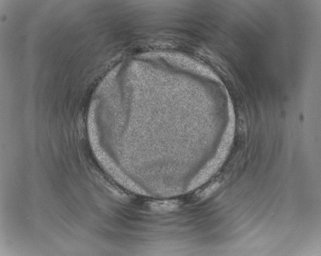 X0000069390465200606091721