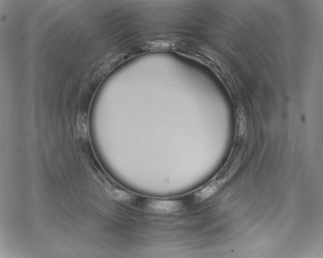 X0000069390467200606091721