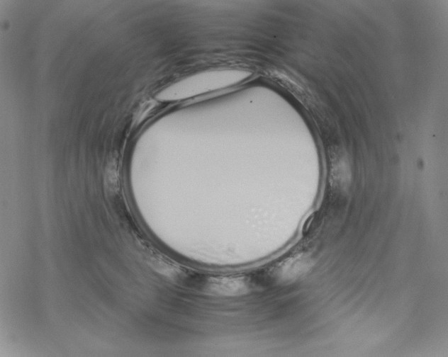 X0000069390469200606091721