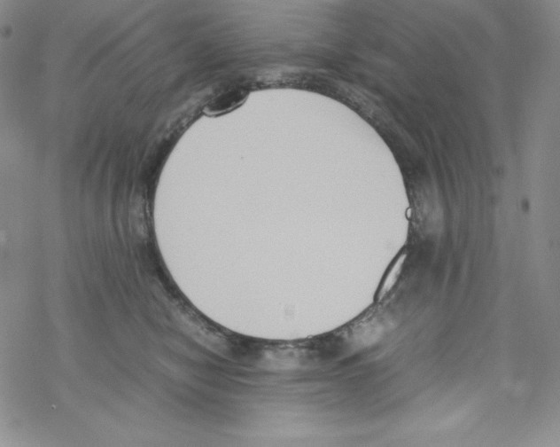 X0000069390470200606091721