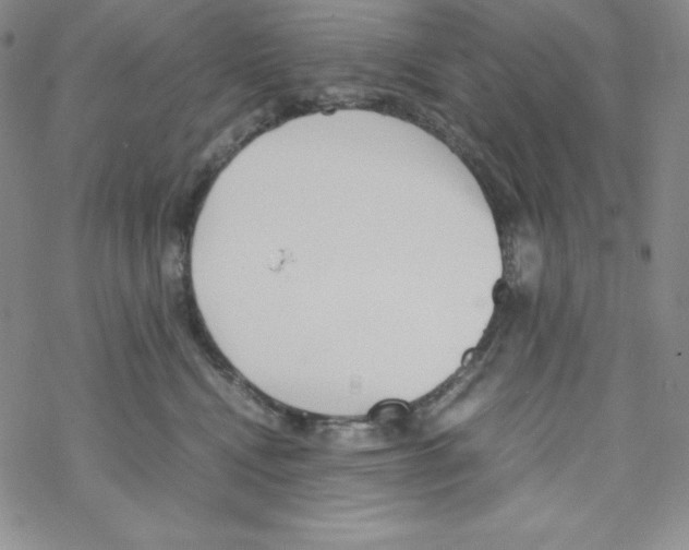 X0000069390472200606091721