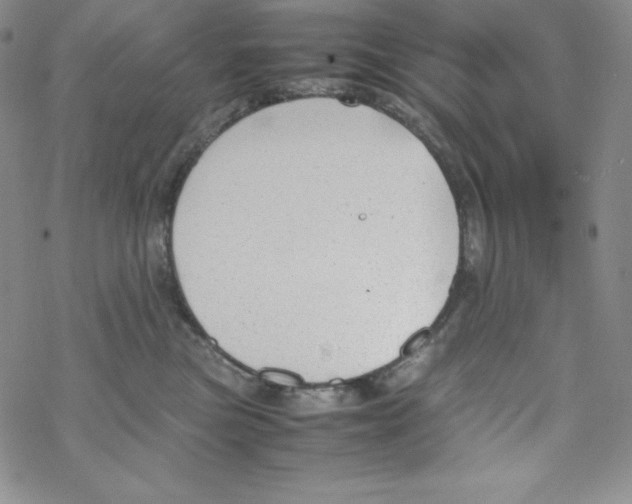 X0000069390473200606091721