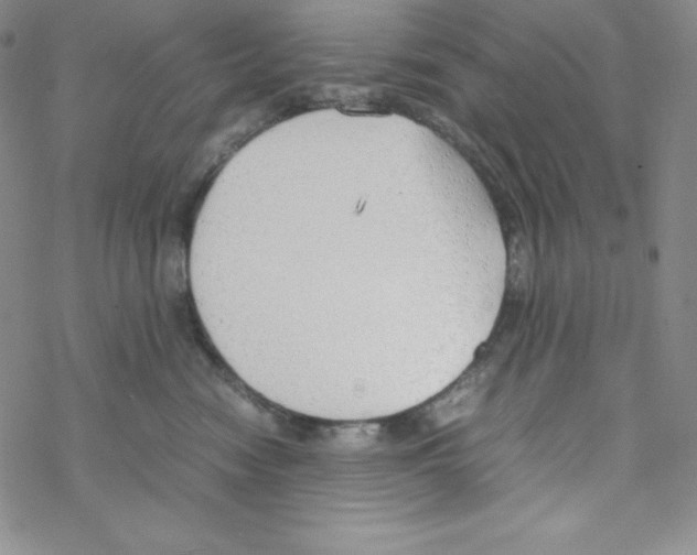 X0000069390474200606091721