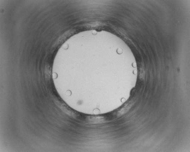 X0000069390476200606091721