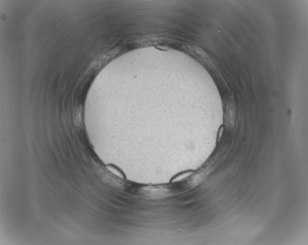 X0000069390477200606091721