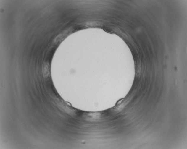 X0000069390478200606091721