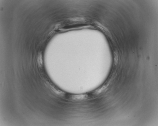 X0000069390479200606091721