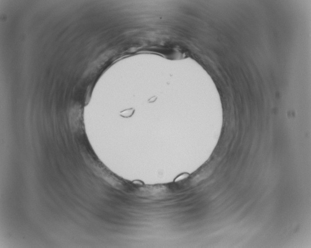 X0000069390480200606091721