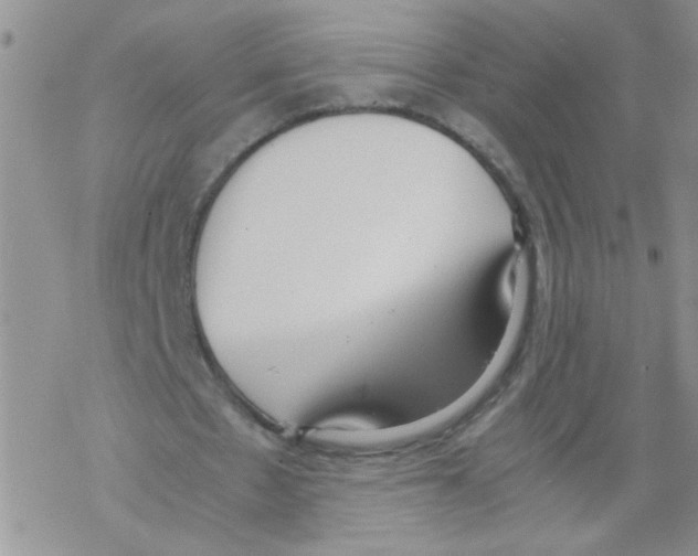 X0000069390481200606091720