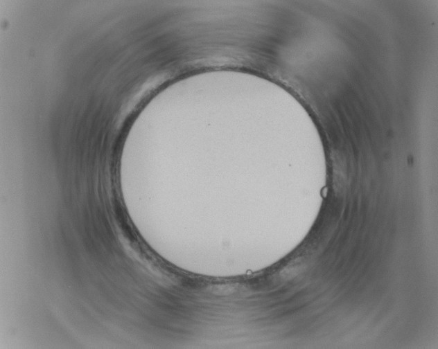 X0000069390482200606091720