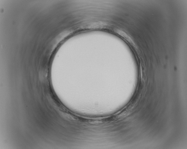 X0000069390483200606091720