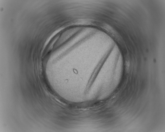 X0000069390484200606091720