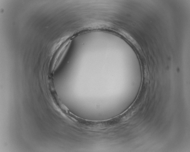 X0000069390485200606091720