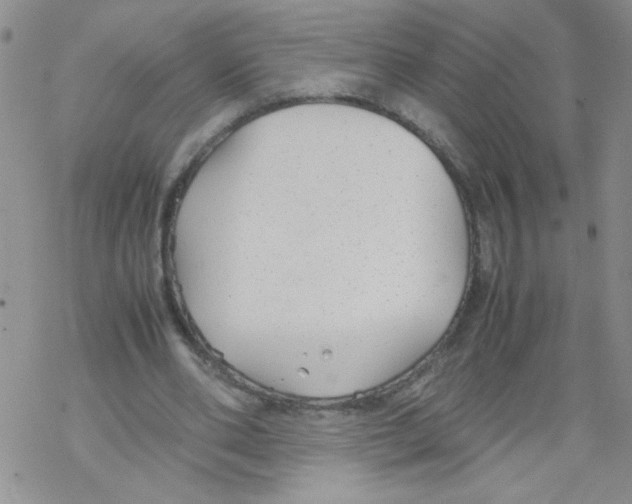 X0000069390486200606091720