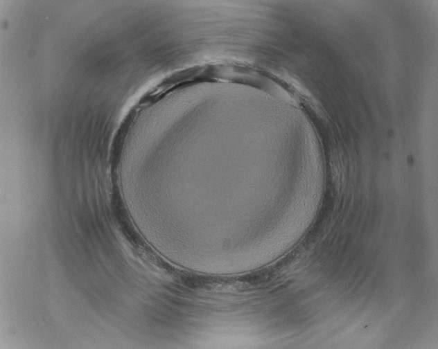 X0000069390488200606091720