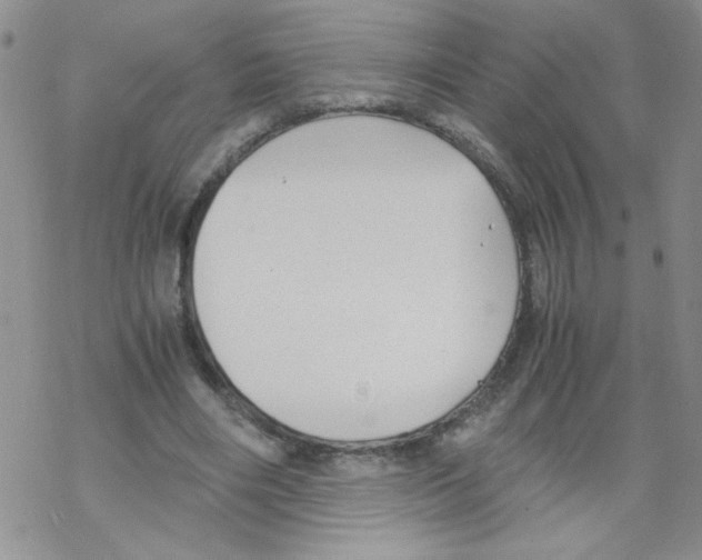 X0000069390490200606091720