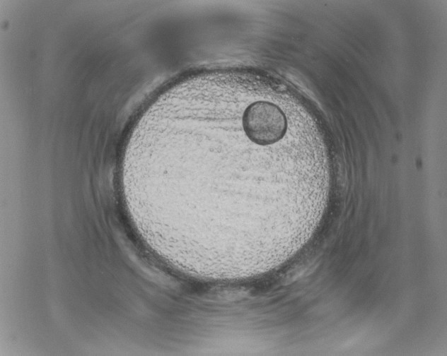 X0000069390491200606091720