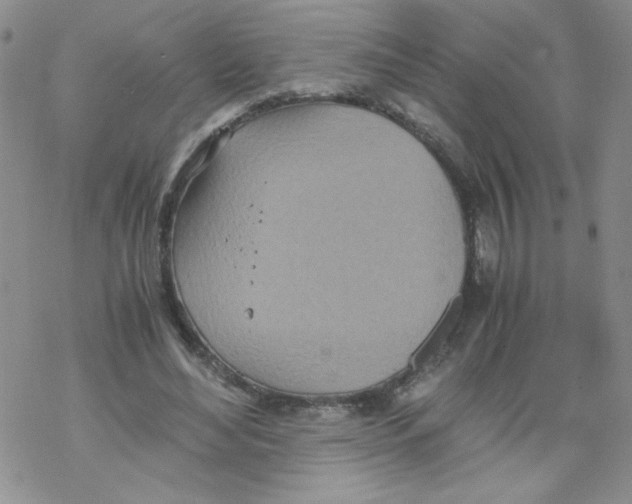 X0000069390492200606091720