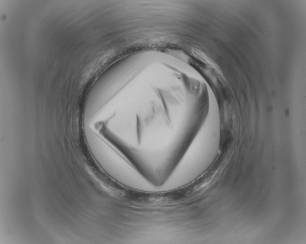 X0000069390493200606091720