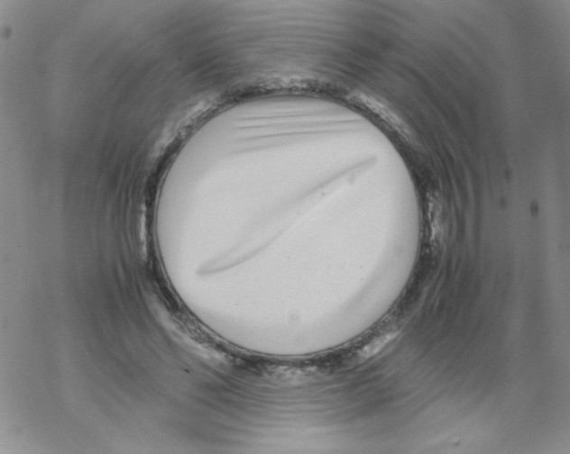 X0000069390494200606091720