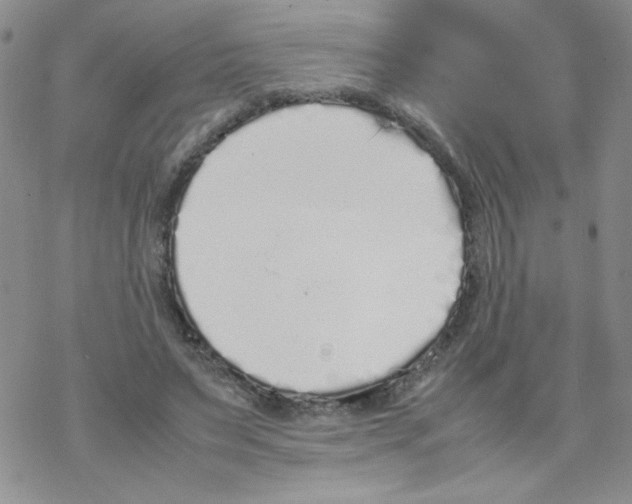 X0000069390495200606091720