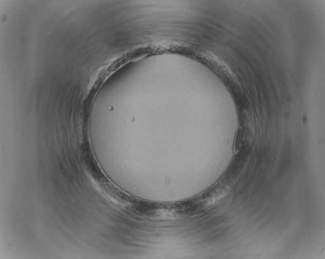 X0000069390496200606091720