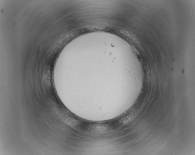 X0000069390498200606091720