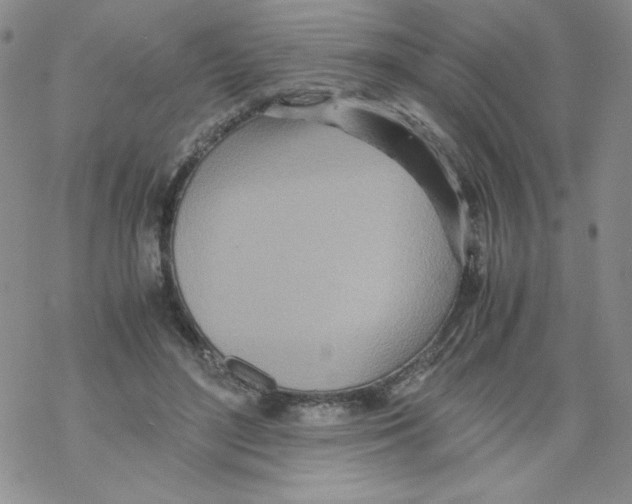 X0000069390500200606091720