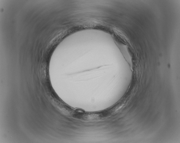 X0000069390501200606091720