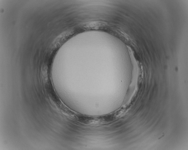 X0000069390504200606091720