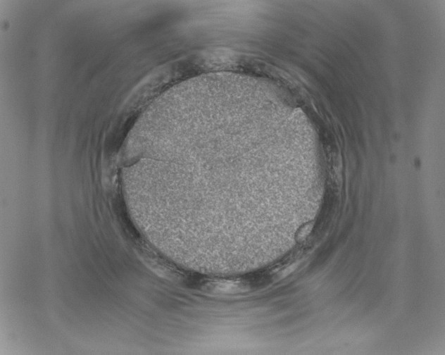 X0000069390507200606091720