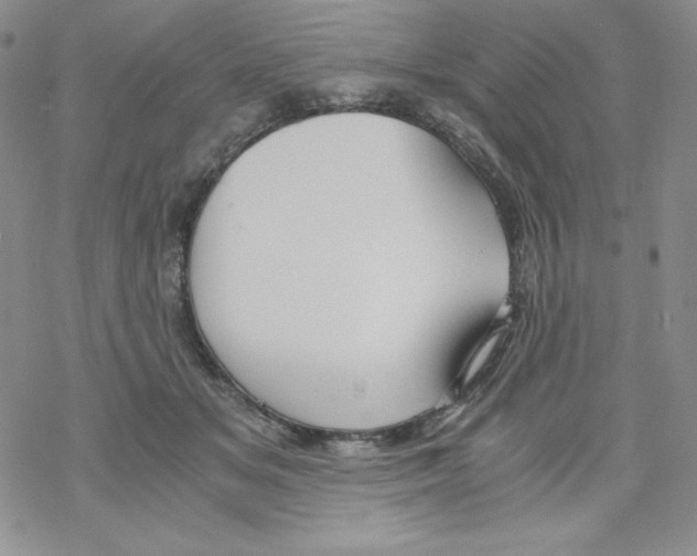 X0000069390509200606091720