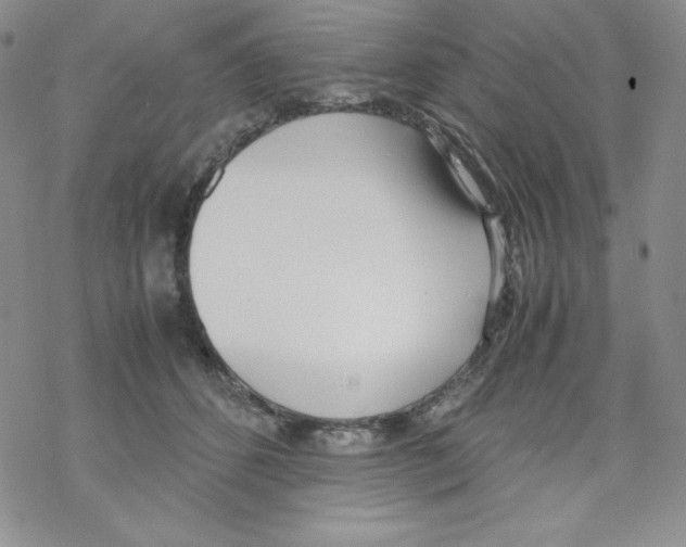 X0000069390512200606091720