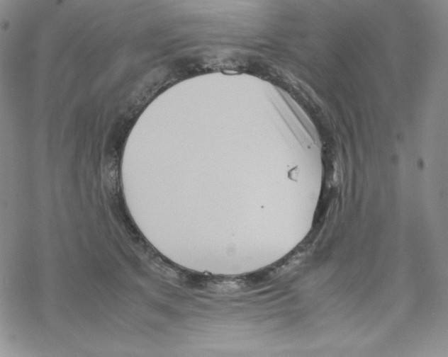 X0000069390513200606091720