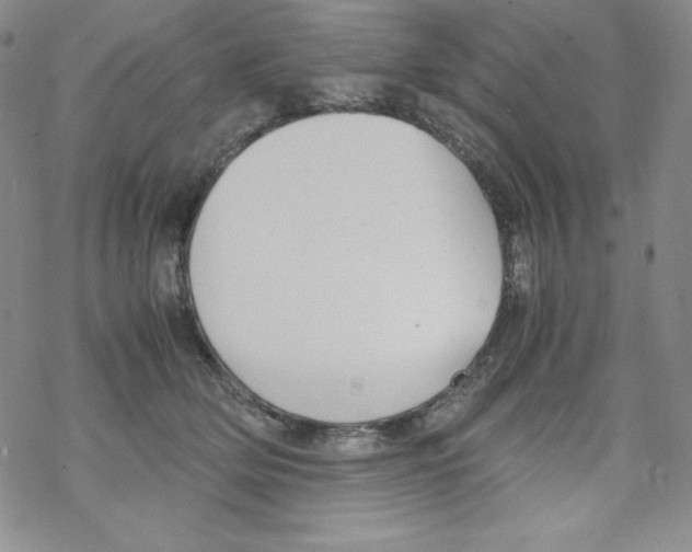 X0000069390514200606091720