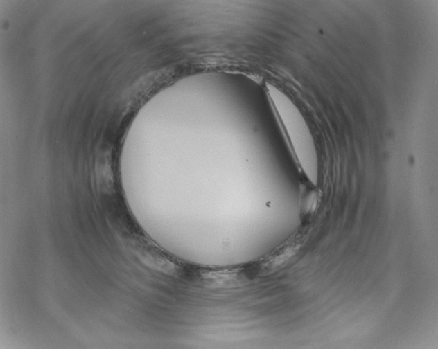 X0000069390516200606091720