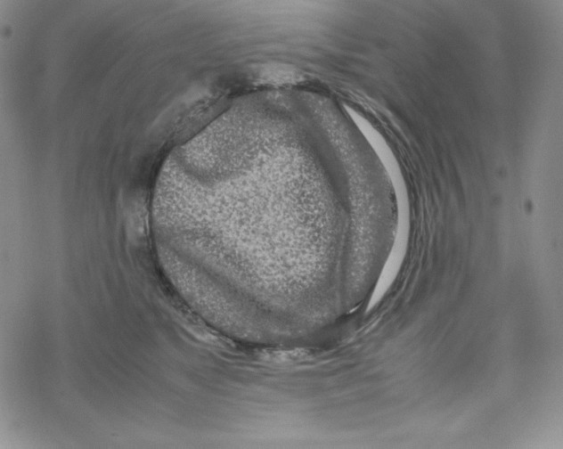 X0000069390517200606091720