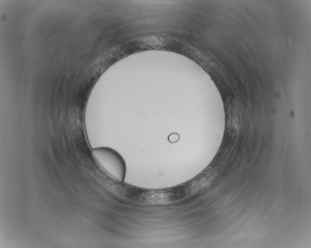 X0000069390518200606091720