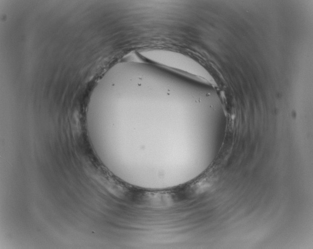 X0000069390520200606091720