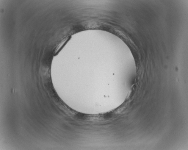 X0000069390521200606091720