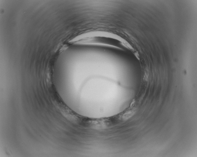 X0000069390524200606091720