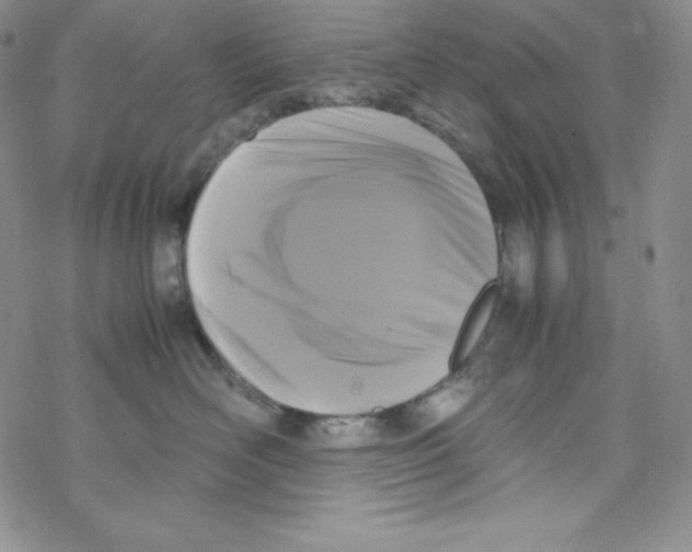 X0000069390526200606091720