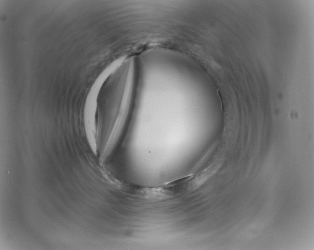 X0000069390528200606091720