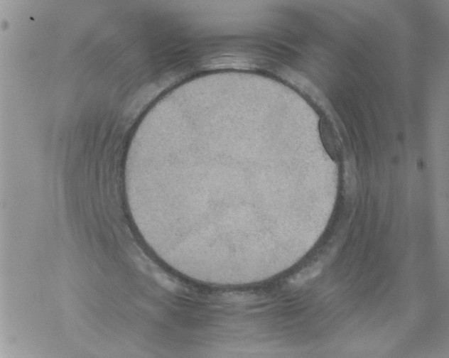 X0000069390529200606091719