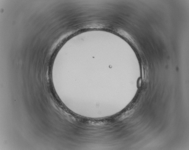 X0000069390531200606091719