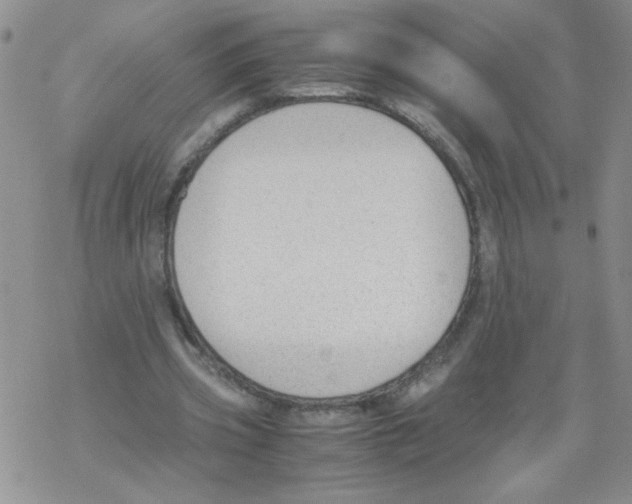 X0000069390533200606091719