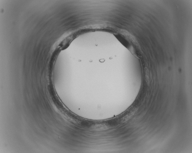 X0000069390536200606091719