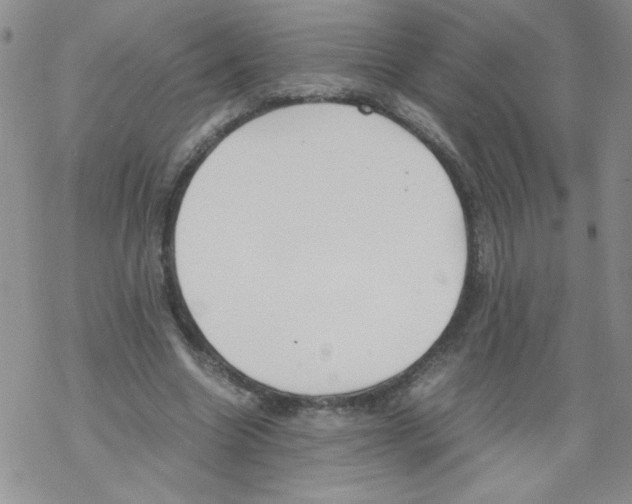 X0000069390538200606091719